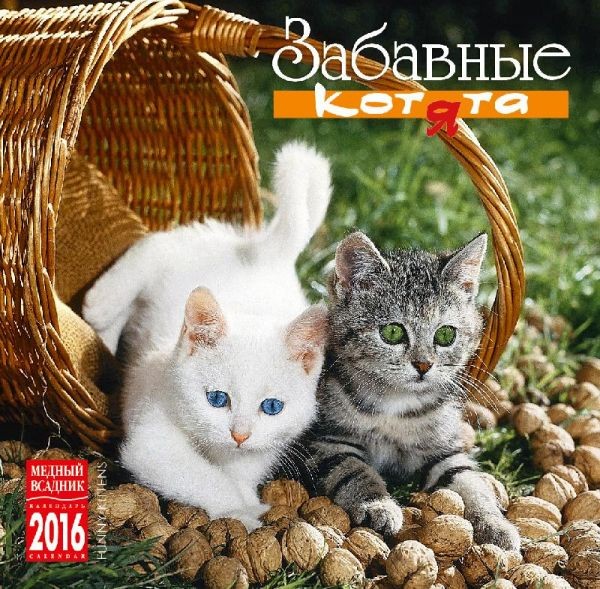 2016 Clip Calendar 'Funny kittens'