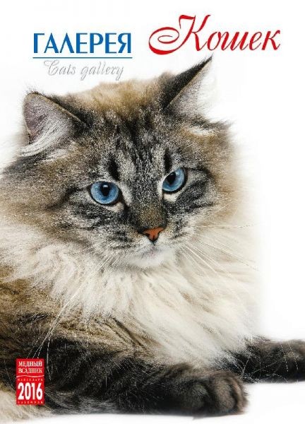2016 Spiral Calendar 'Gallery Cats'