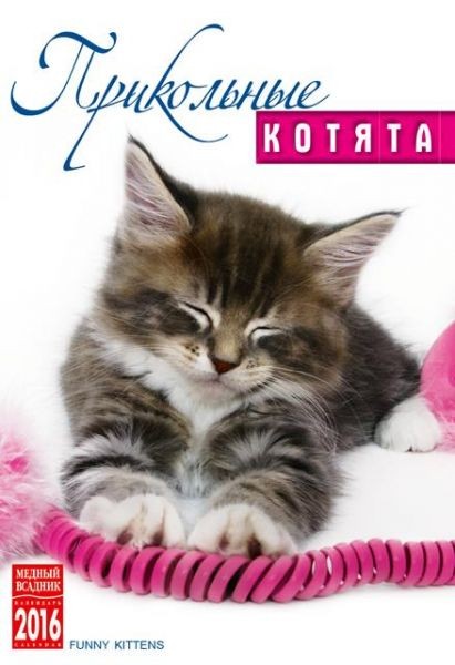 2016 Spiral Calendar 'Funny kittens'