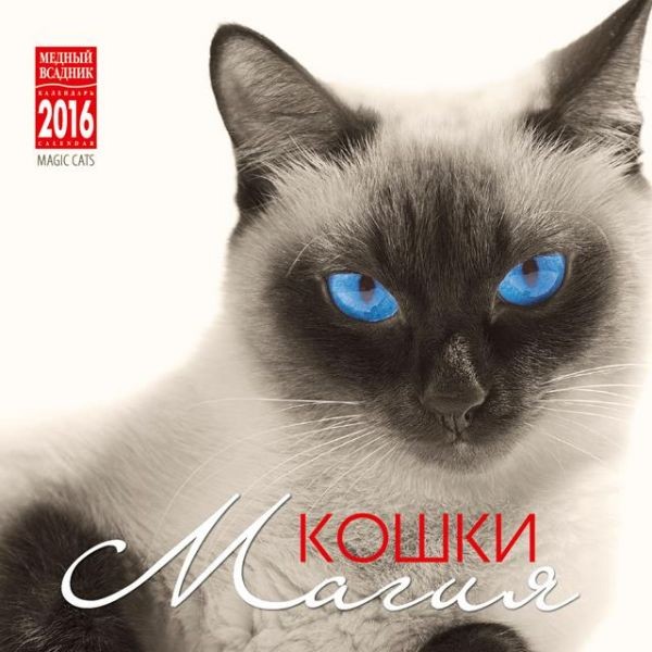 2016 Spiral Calendar 'Magic cat black white'