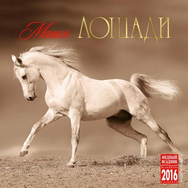 2016 Spiral Calendar 'Magic horse bronze'
