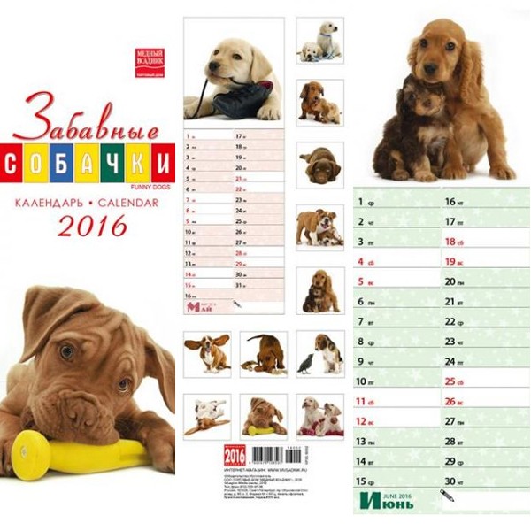 2016 Spiral Calendar 'Funny Dog'
